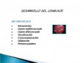 /album/lenguaje/diapositiva4-jpg1/
